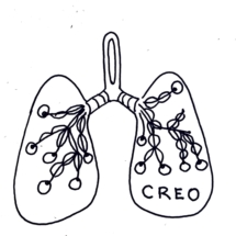 Luz_pulmones