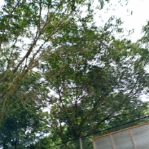 WhatsApp Image 2025-06-17 at 6.55.49 PM (2)