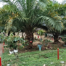 WhatsApp Image 2025-09-22 at 2.45.03 PM