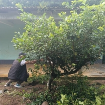 WhatsApp Image 2025-09-22 at 2.45.04 PM (3)