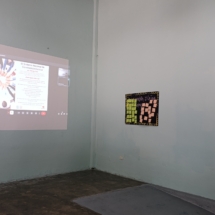 IMG_20260116_102007 IMG_20260116_102007