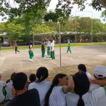 IMG_20260123_105031 IMG_20260123_105031