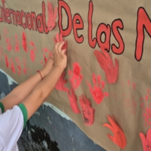 WhatsApp Image 2026-02-12 at 11.38.50 AM